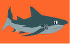 ジープ島　大型のサメ